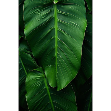 Tableau Feuilles Tropicales